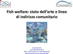 Fish welfare: stato dell'arte e linee di indirizzo comunitario - Amedeo Manfrin Centro Specialistico Ittico IZSVe - Viale Universit&agrave;, 10 35020 ...