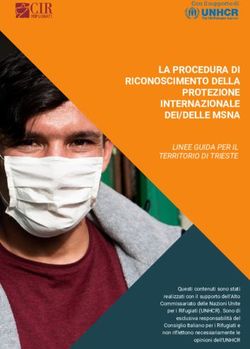 LA PROCEDURA DI RICONOSCIMENTO DELLA PROTEZIONE INTERNAZIONALE DEI/DELLE MSNA - CIR ONLUS