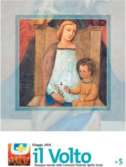 Il Volto n. 5 - Comunità Pastorale Spirito Santo