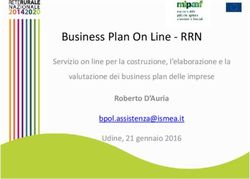 Business Plan On Line - RRN - Servizio on line per la costruzione, l'elaborazione e la valutazione dei business plan delle imprese ...
