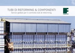 TUBI DI REFORMING & COMPONENTI - Servizi globali per il controllo tubi di reforming - Foerstergroup