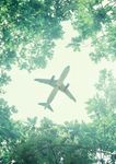 AEROPORTI DI ROMA - Fiumicino