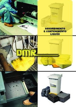 ASSORBIMENTO E CONTENIMENTO LIQUIDI - DMR Sicurezza ...