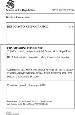 RESOCONTO STENOGRAFICO - Ministero degli Affari Esteri