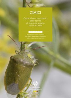 CIMICI Guida al riconoscimento delle specie di interesse agrario nel Nord Italia - Fondazione Edmund Mach
