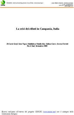 La crisi dei rifiuti in Campania, Italia