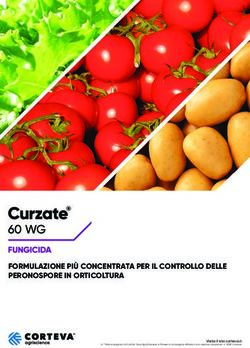 FORMULAZIONE PI&Ugrave; CONCENTRATA PER IL CONTROLLO DELLE PERONOSPORE IN ORTICOLTURA - brochure