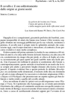 Il cavallo e il suo addestramento dalle origini ai giorni nostri