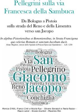 Pellegrini sulla via Francesca della Sambuca - Da Bologna a Pistoia sulla strada del Reno e della Limentra verso san Jacopo