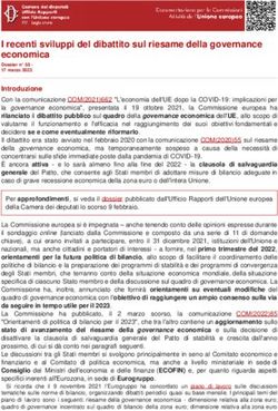 I recenti sviluppi del dibattito sul riesame della governance economica