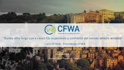 "Banda ultra larga con e senza fili: esperienze a confronto del mondo wired e wireless" - Luca SPADA - Presidente CFWA