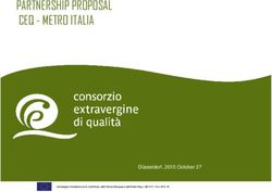PARTNERSHIP PROPOSAL CEQ - METRO ITALIA - ceq italia
