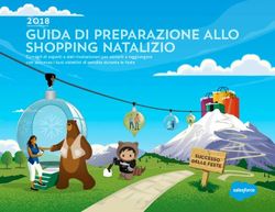 GUIDA DI PREPARAZIONE ALLO SHOPPING NATALIZIO 2018 - SUCCESSO DELLE FESTE