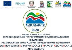2020 EX MACELLO LA STRATEGIA DI SVILUPPO LOCALE E PIANO DI AZIONE LOCALE ALTO SALENTO - stgy.ovh