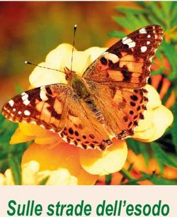 Sulle strade dell'esodo - Missionarie Secolari Scalabriniane