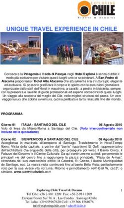 UNIQUE TRAVEL EXPERIENCE IN CHILE