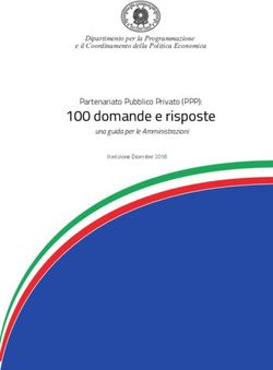 100 domande e risposte - Partenariato Pubblico Privato (PPP): una guida per le Amministrazioni - Cipe