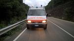 Ambulanze Veterinarie Italia - Presentazione Associazione Obbiettivi di Istituto Automezzi ed Attrezzature Volontari e Servizi del progetto