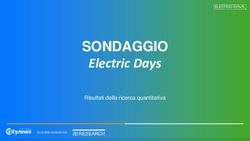 SONDAGGIO Electric Days - Risultati della ricerca quantitativa - Motor1.com