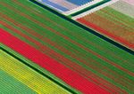 REPORT DI SOSTENIBILIT&Agrave; 2021 - Corporate Social Responsibility