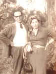 Gli anni della formazione