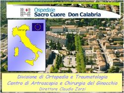 Divisione di Ortopedia e Traumatologia Centro di Artroscopiae Chirurgia del Ginocchio - Direttore Claudio Zorzi