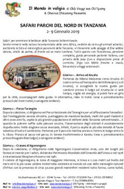 SAFARI PARCHI DEL NORD IN TANZANIA - 2- 9 Gennaio 2019 - Mondo in Valigia