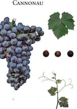 Cannonau - Cantina Madeddu Bosa