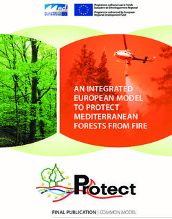 AN INTEGRATED EUROPEAN MODEL TO PROTECT MEDITERRANEAN FORESTS FROM FIRE - FINAL PUBLICATION |COMMON MODEL