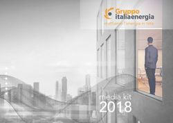 Mettiamo l'energia in rete - Gruppo Italia Energia
