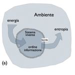 Abitabilit&agrave; di pianeti extrasolari - G. Vladilo INAF - Osservatorio Astronomico di Trieste