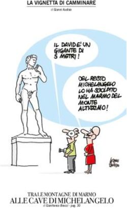 ALLE CAVE DI MICHELANGELO - TRA LE MONTAGNE DI MARMO - LA VIGNETTA DI CAMMINARE