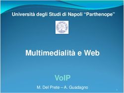 MULTIMEDIALIT&Agrave; E WEB VOIP - UNIVERSIT&Agrave; DEGLI STUDI DI NAPOLI "PARTHENOPE" - M. DEL PRETE - A. GUADAGNO