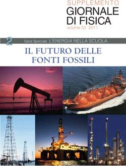 Giornale di fisica SUPPLEMENTO - Società Italiana di Fisica