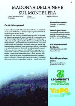 MADONNA DELLA NEVE - Be VisPO
