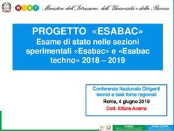 PROGETTO "ESABAC" Esame di stato nelle sezioni sperimentali "Esabac" e "Esabac techno" 2018 2019