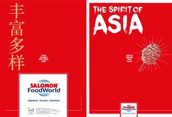 THE SPIRIT OF AS IA - SALOMON FOODWORLD GMBH