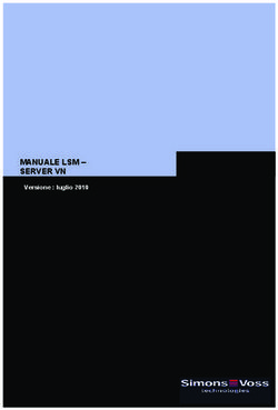 MANUALE LSM - SERVER VN - Versione : luglio 2010