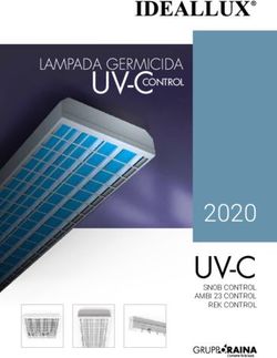 UV-C 2020 - UV-CCONTROL - Gruppo Raina