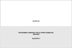 PROGRAMMA TRIENNALE DELLE OPERE PUBBLICHE - 2020/2022 Sovicille (SI)