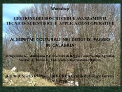ALGORITMI COLTURALI NEI CEDUI DI FAGGIO IN CALABRIA - Rete Rurale Nazionale