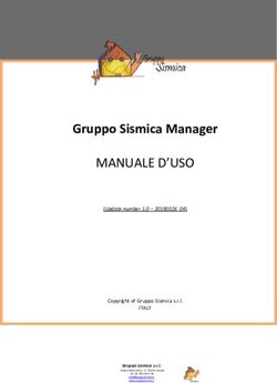 MANUALE D'USO Gruppo Sismica Manager - ITALY