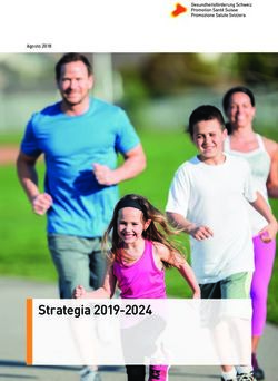 Strategia 2019-2024 - Agosto 2018 - Promozione Salute Svizzera