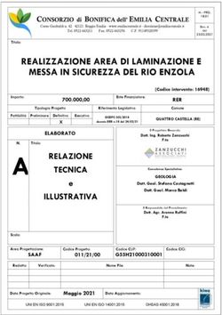 A RELAZIONE TECNICA ILLUSTRATIVA - e - Consorzio di Bonifica dell'Emilia Centrale