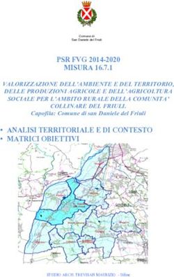 MISURA 16.7.1 ANALISI TERRITORIALE E DI CONTESTO MATRICI OBIETTIVI - Comune di San Daniele del ...