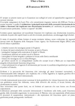 Uber e Greta di Francesco BUFFA - Cassazione