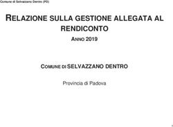 RELAZIONE SULLA GESTIONE ALLEGATA AL RENDICONTO - ANNO 2019 COMUNE DI SELVAZZANO DENTRO