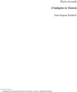 L'indagine in Tunisia - Parte seconda Gian Gaspare Fardella