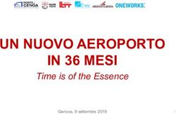 UN NUOVO AEROPORTO IN 36 MESI - Time is of the Essence Genova, 9 settembre 2019 - AVIONEWS