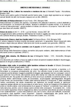 AMERICA MERIDIONALE: BRASILE